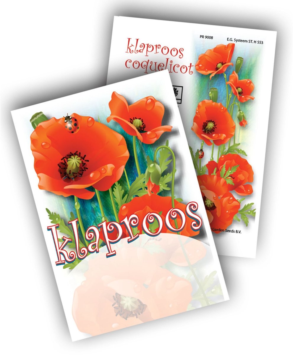 Papaverachtige (Papaveroideae) - Klaprozen - bloeit in Juni / Juli / Augustus