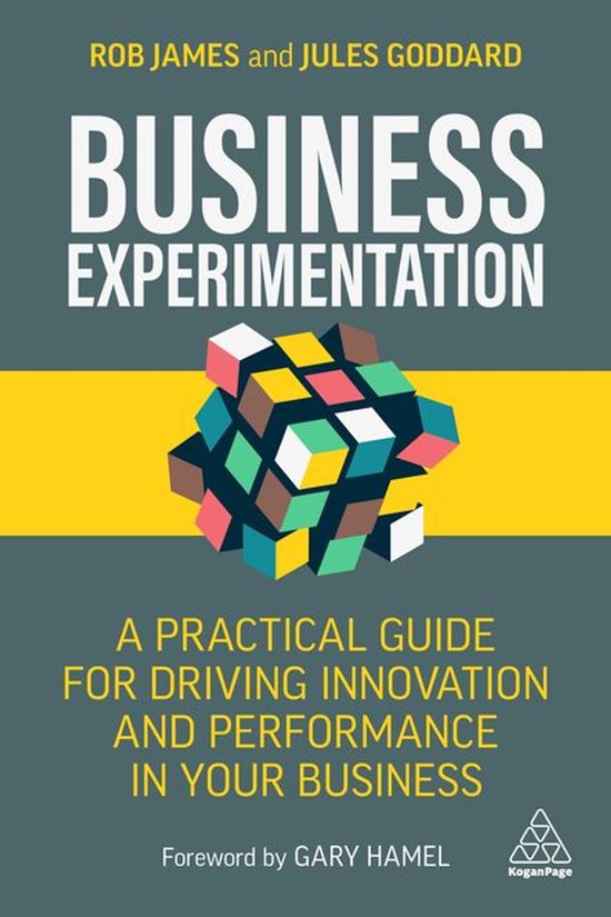 Business Experimentation - cover