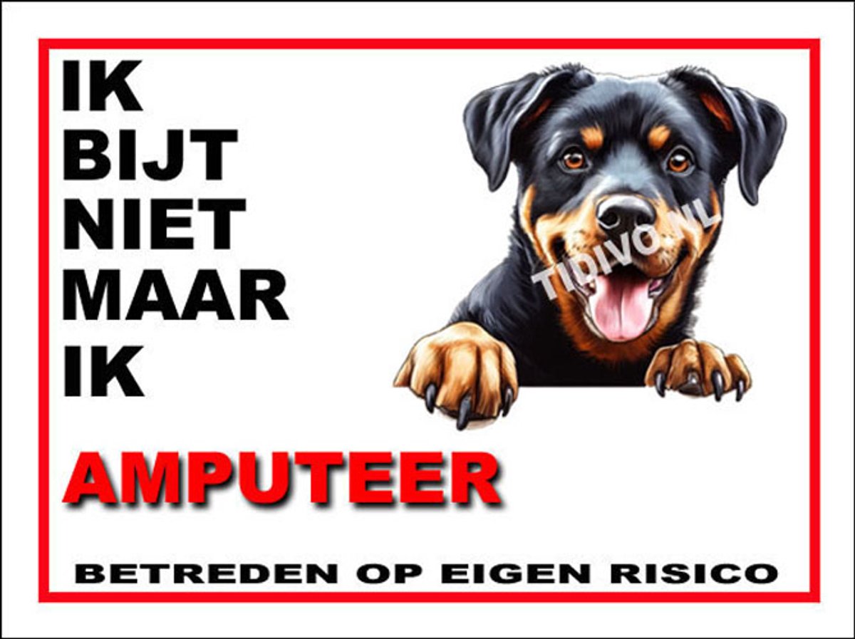 Beauceron 11