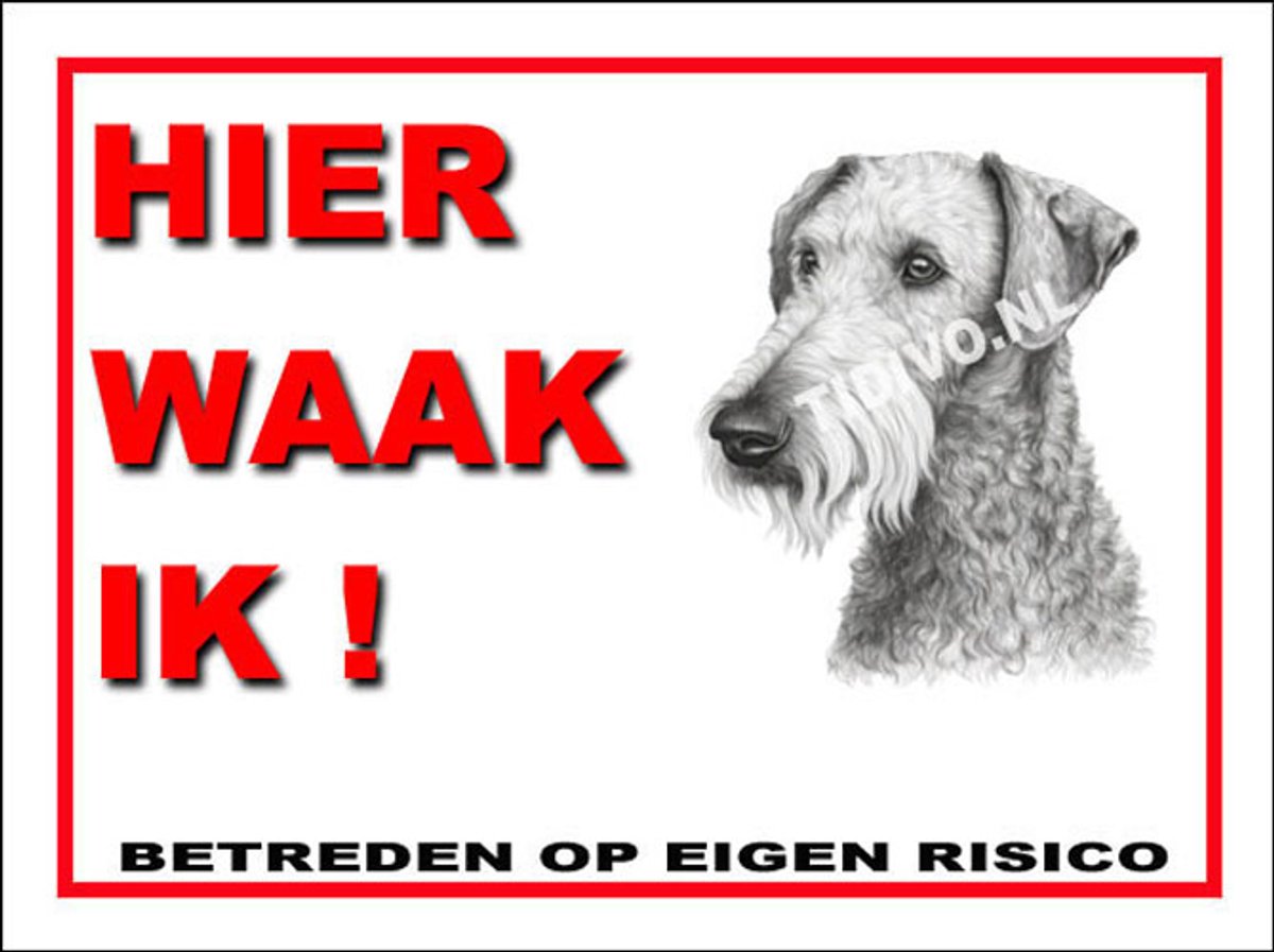 Bedlington Terrier 3