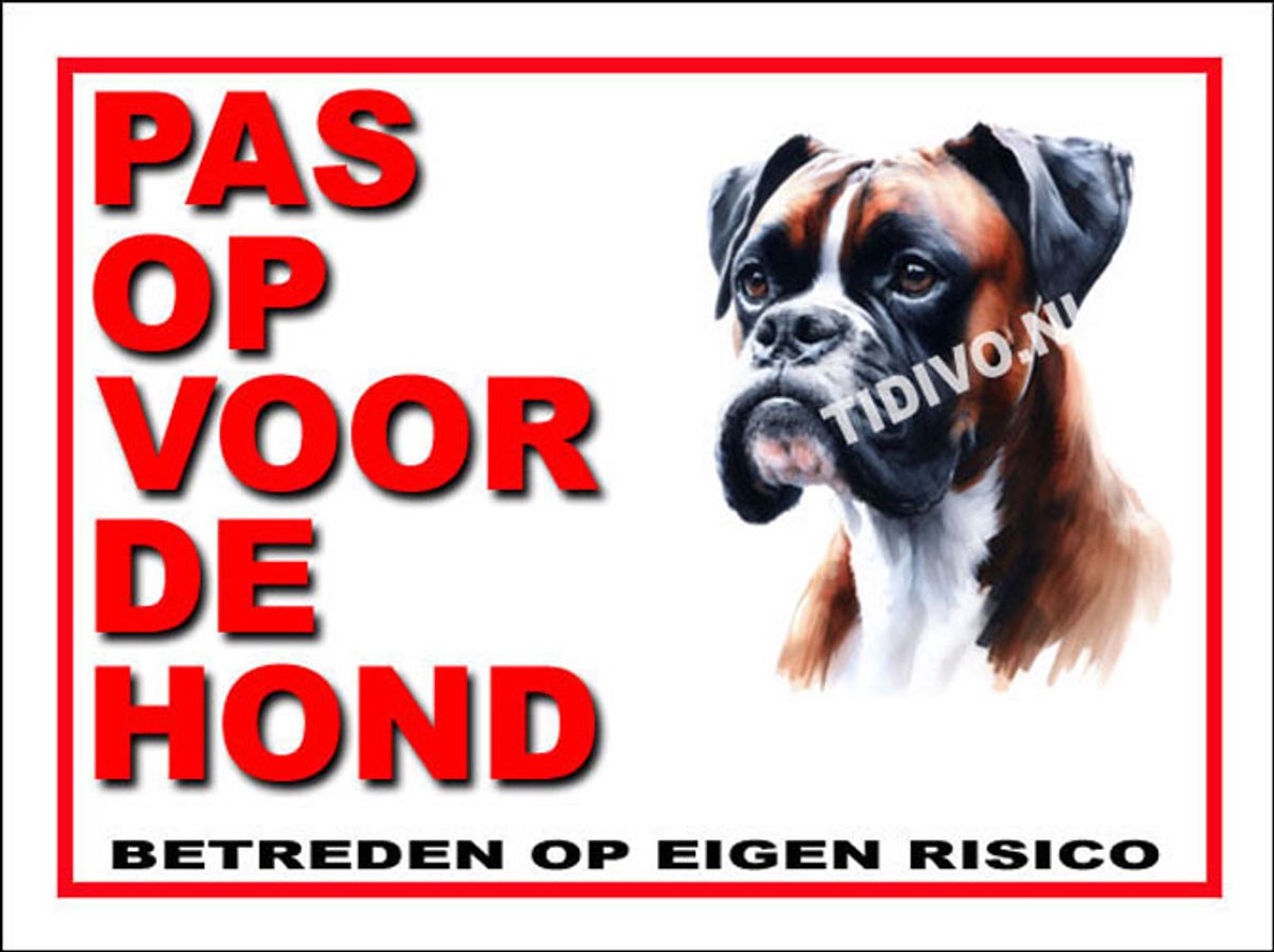 Boxer 13