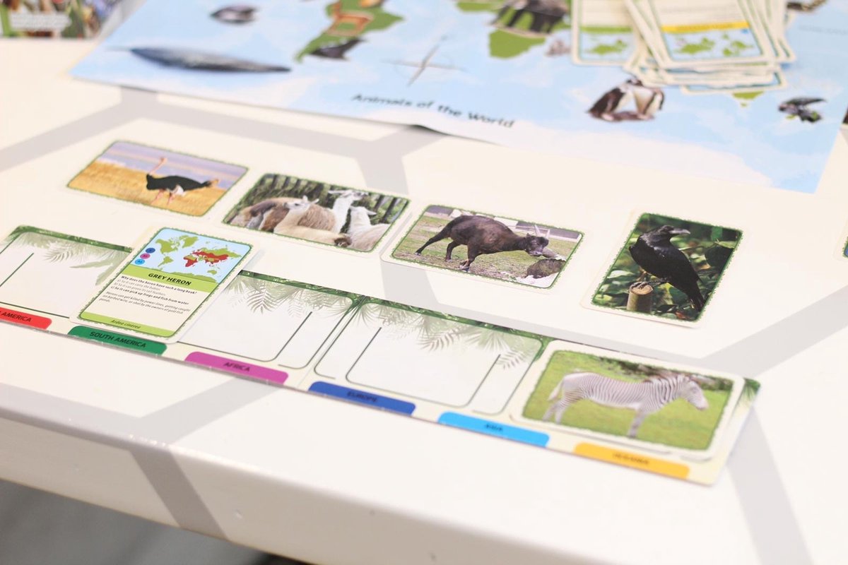 Tactic Dieren van de Wereld – Educatief spel – Leer de wilde dieren kennen – 200 Kaarten – 6 Speelborden met werelddelen — afbeelding 14