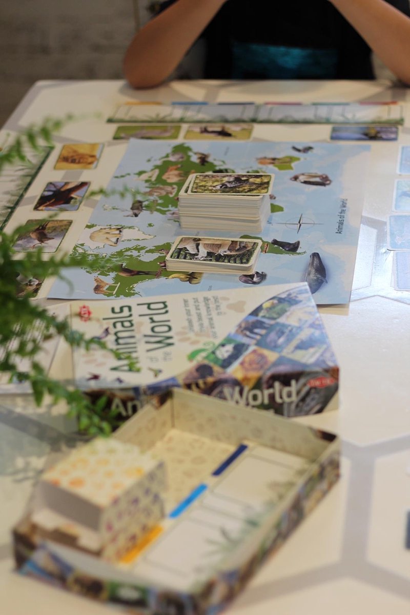 Tactic Dieren van de Wereld – Educatief spel – Leer de wilde dieren kennen – 200 Kaarten – 6 Speelborden met werelddelen — afbeelding 12