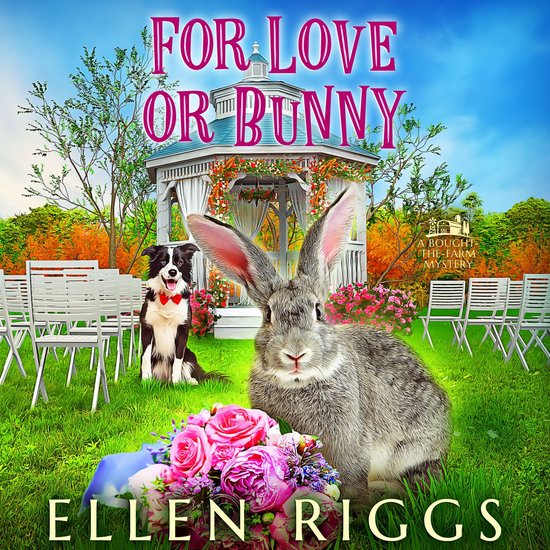 For Love or Bunny - cover