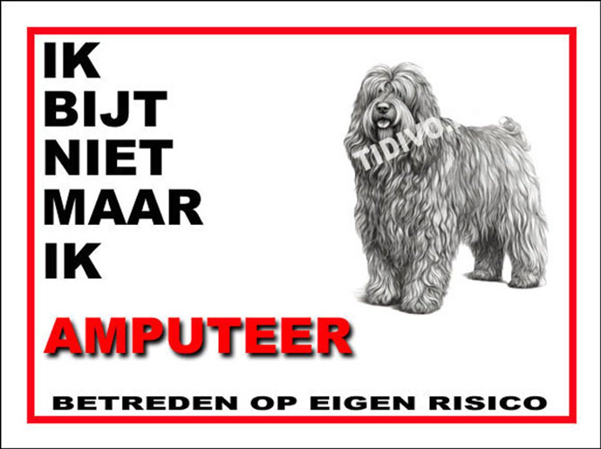 Bergamasco 5
