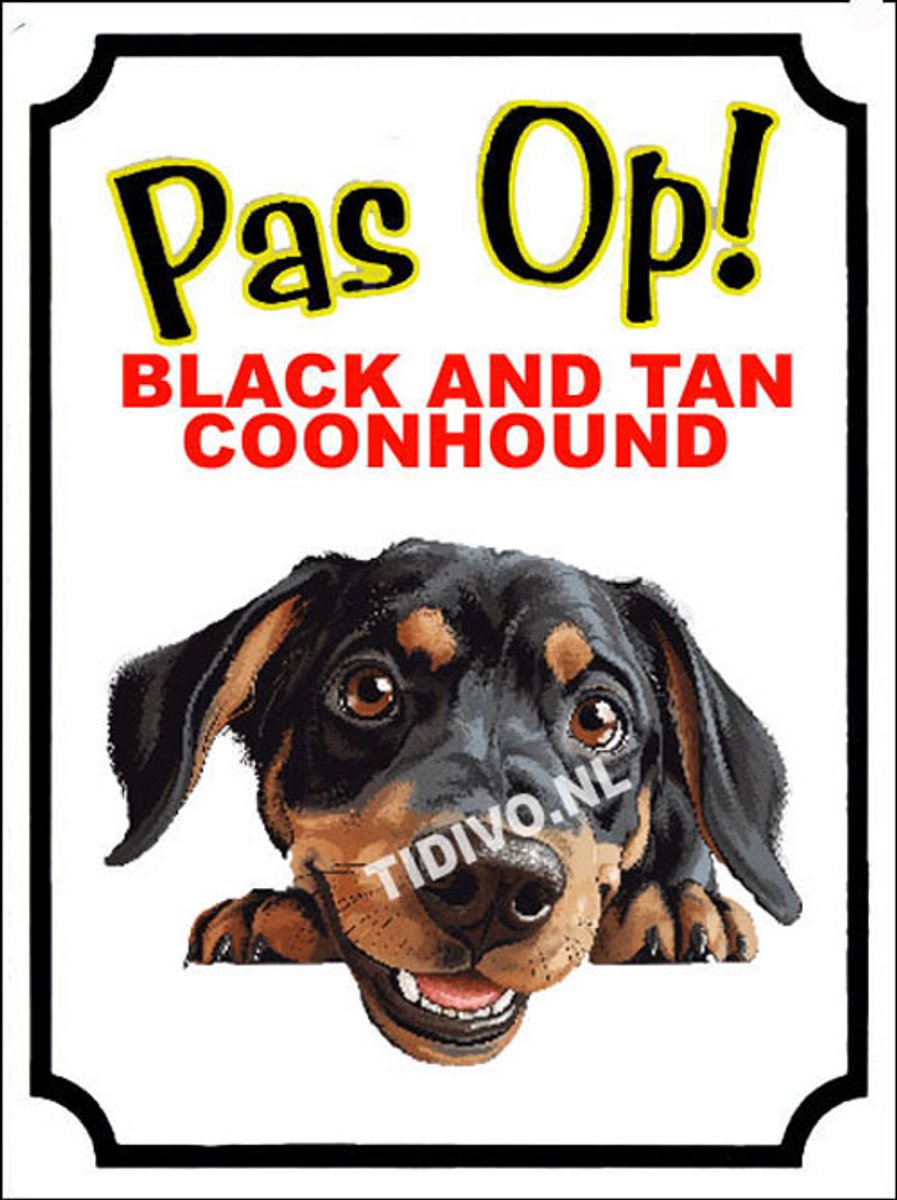 Black and Tan Coonhound 16