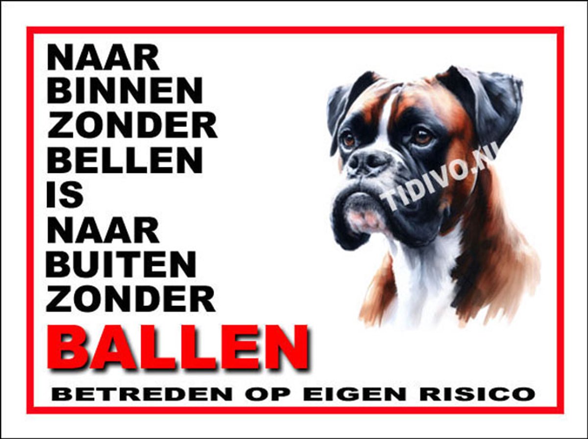 Boxer 11
