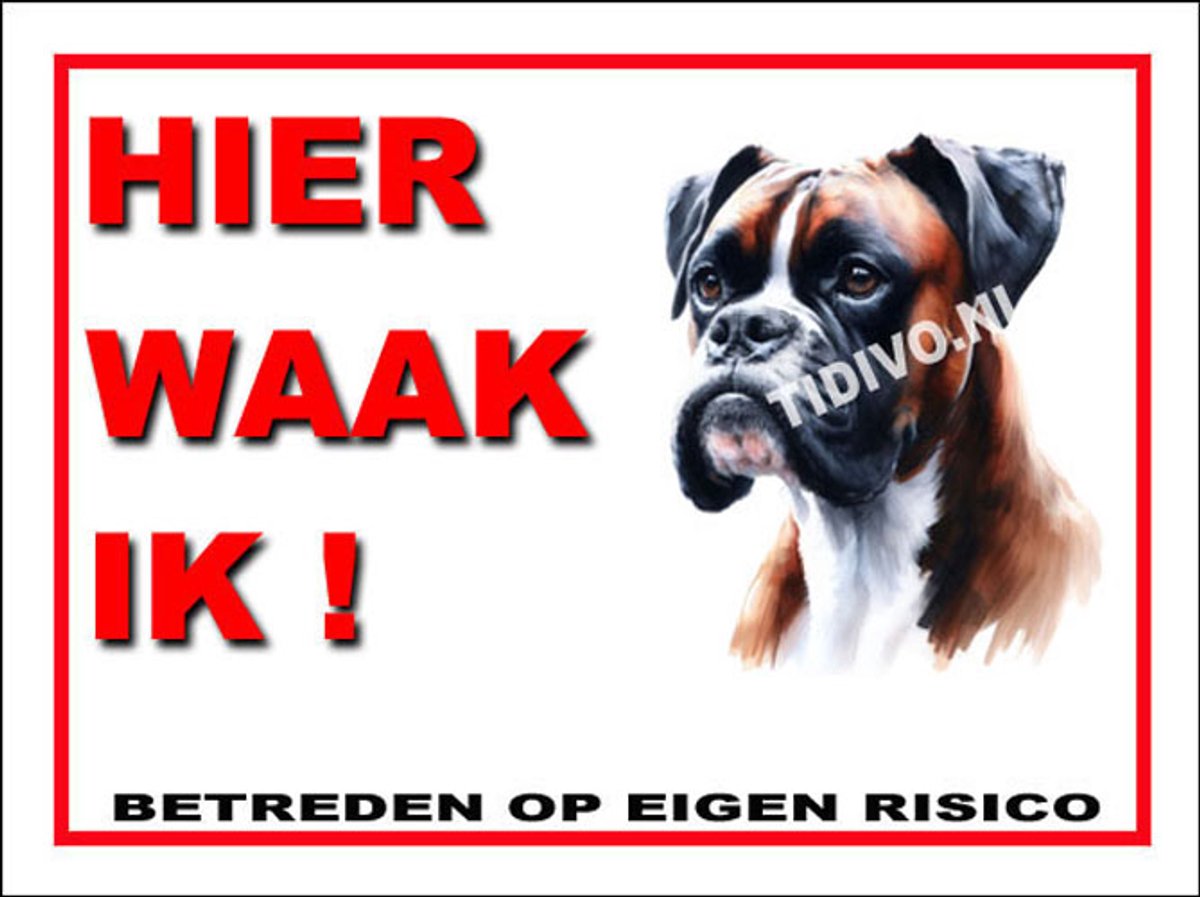Boxer 3