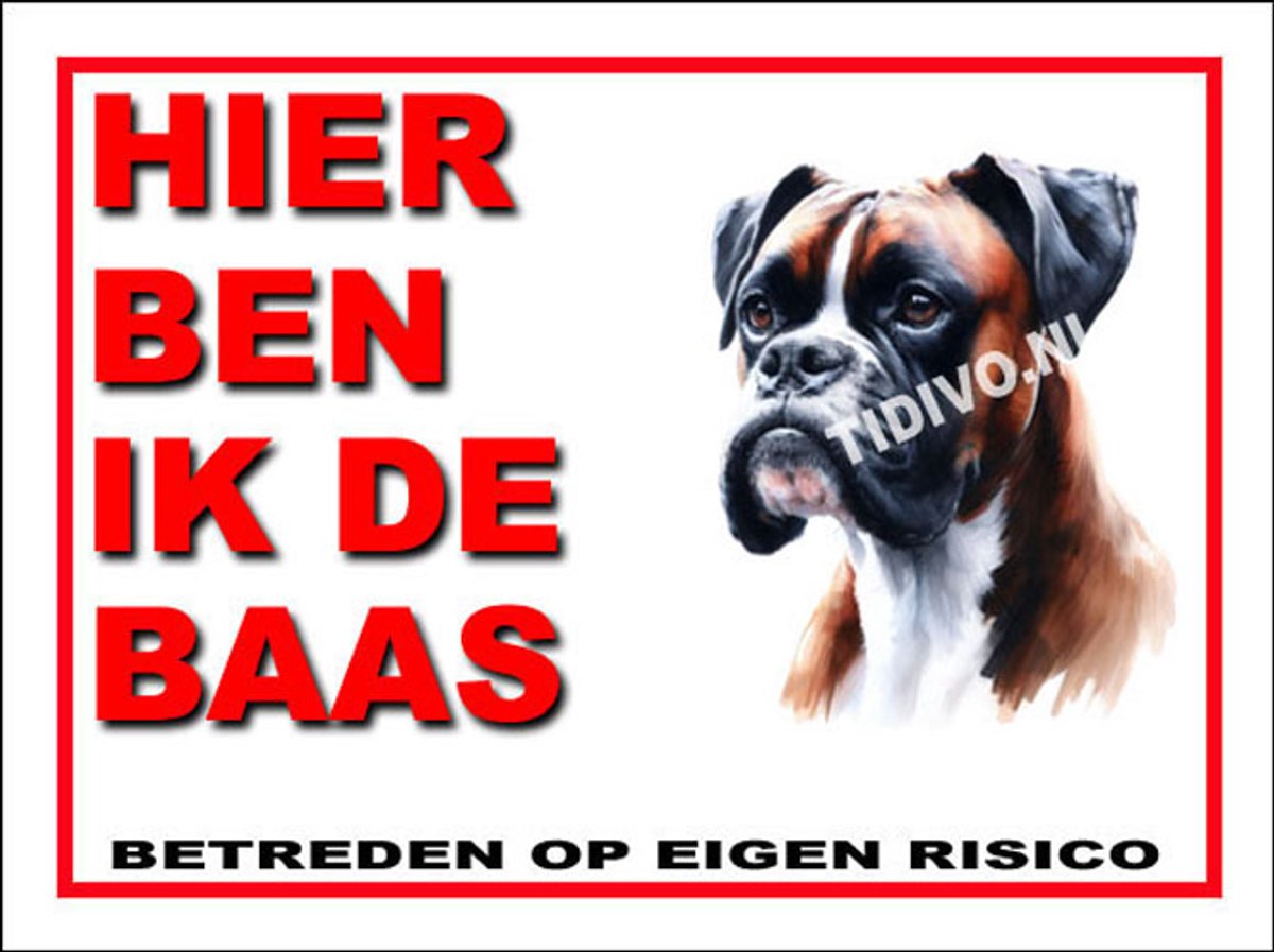 Boxer 2
