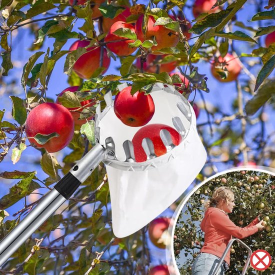 Fruitplukker - fruitplukker met steel - 2M Fruitplukker met telescopische steel -diameter 16 cm Fruitplukker - Met opbergtas -kersen met katoenen tas- Pruimenplukker met telescopische steel- Geschikt voor thuis, boomgaard- tuin- fruitplukker van Merkloos	 — afbeelding 4