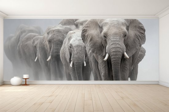 Naadloos behang Fotobehang - Majestic Elephant Herd in Motion - 250x300 centimeter