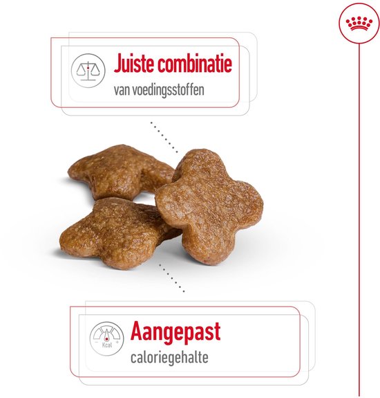 Drie X-vormige brokken, één met schaalverdeling van 1 cm.