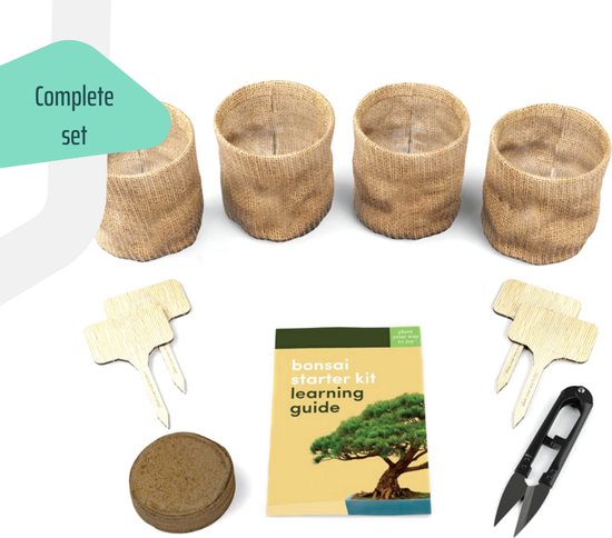 GOODTS - Bonsai Starters Kit met Uitgebreide Instructies – Bonsai Zaden Kit – Binnen Boompje Kweken – Kamerplanten – Kweekset Cadeau – Geschenkset