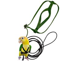 Verstelbaar vogeltuigje en riem - Met riem - Trainingsbenodigdheden - Voor geelnek amazone papegaaien, roze kaketoes, kleine tot middelgrote papegaaien - Geschikt voor vogels met een borstomtrek tot 62 cm/24,41 inch - Groen - Maat S