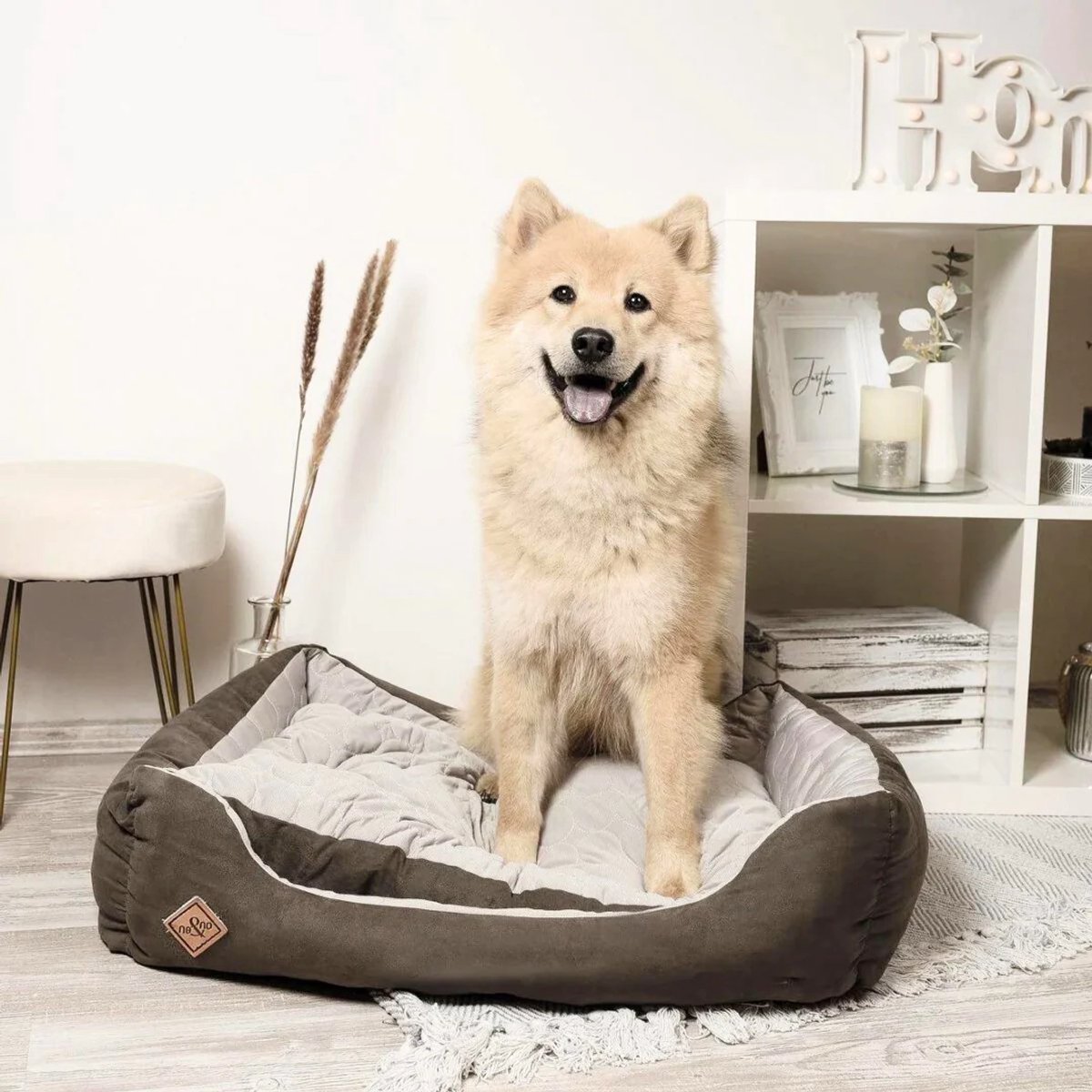 Ne&No - Hondenbed - Kattenbed Medium zilver/mos groen M