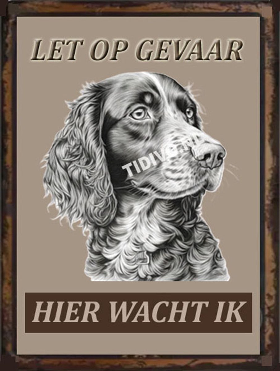 Field Spaniel 18