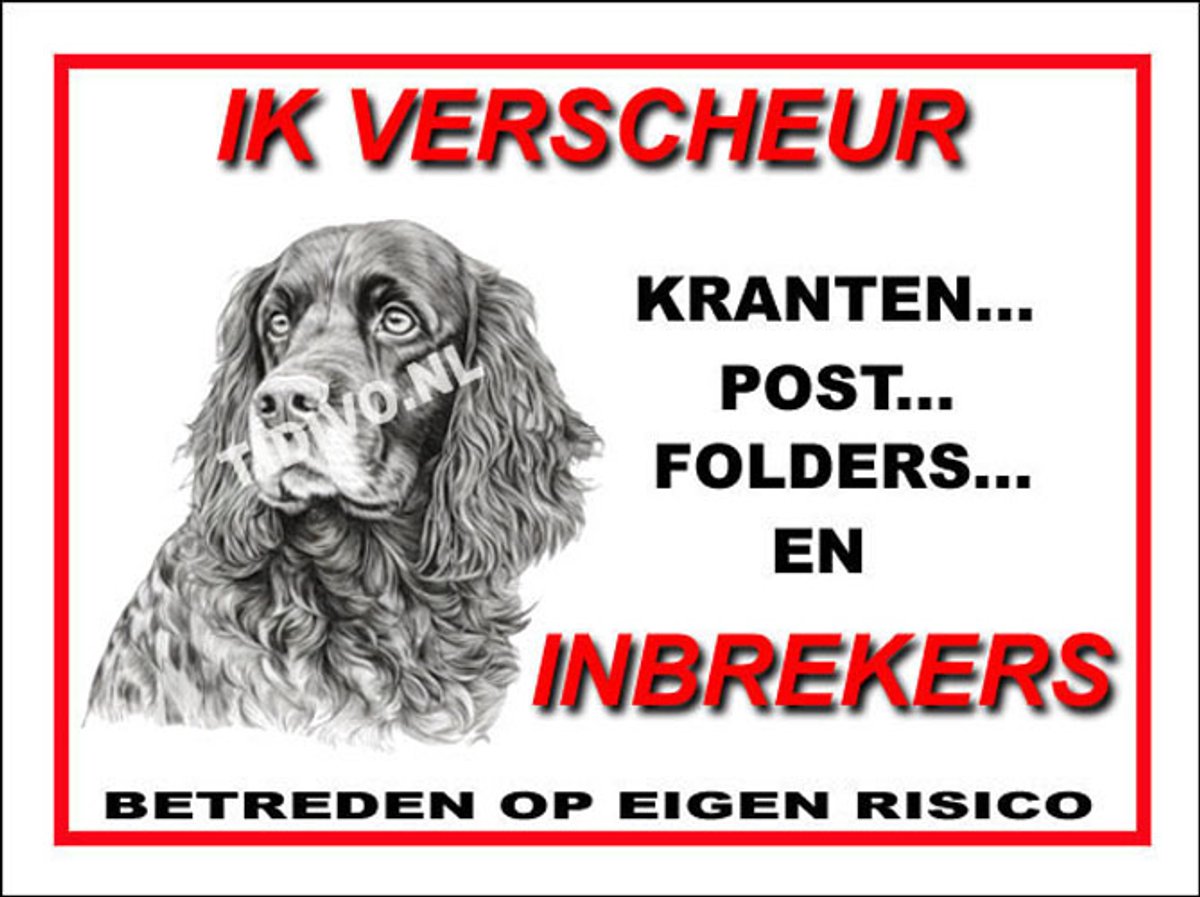 Field Spaniel 8