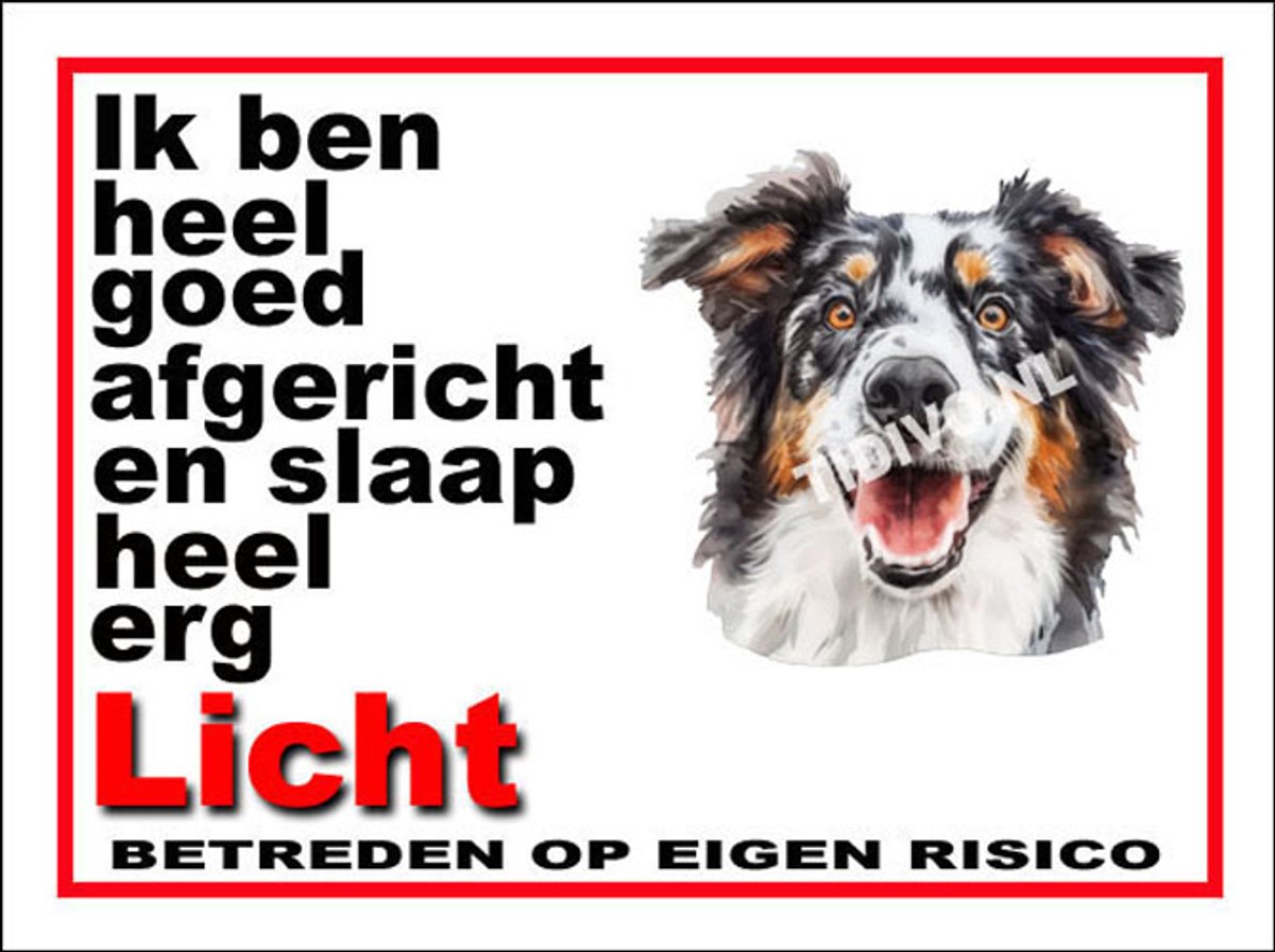 Engelse Shepherd 4