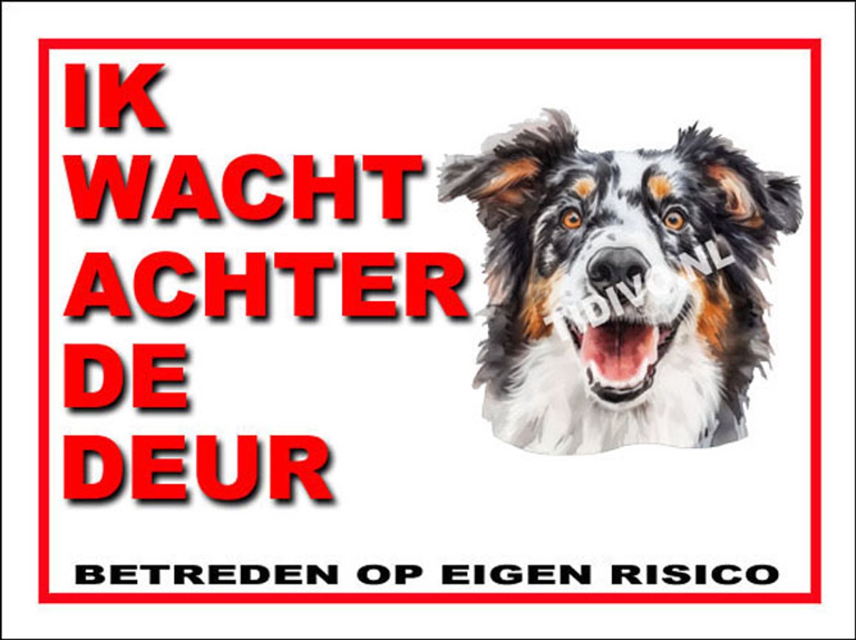 Engelse Shepherd 10
