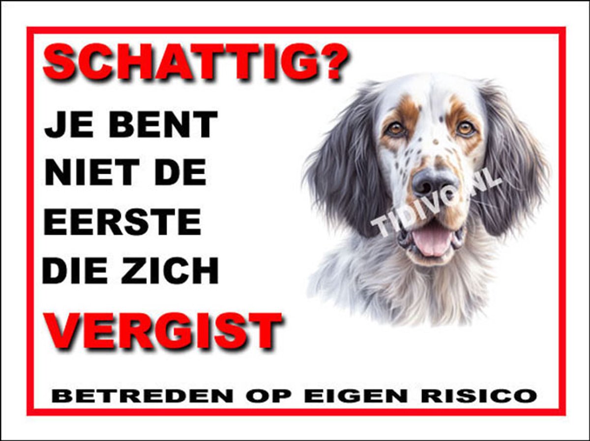 Engelse Setter 14