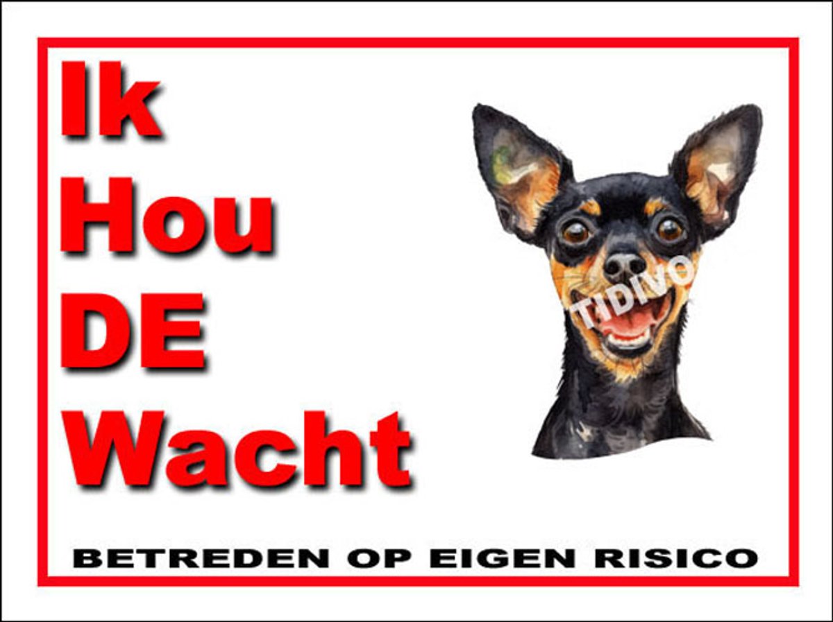 Engelse Toy Terrier 7