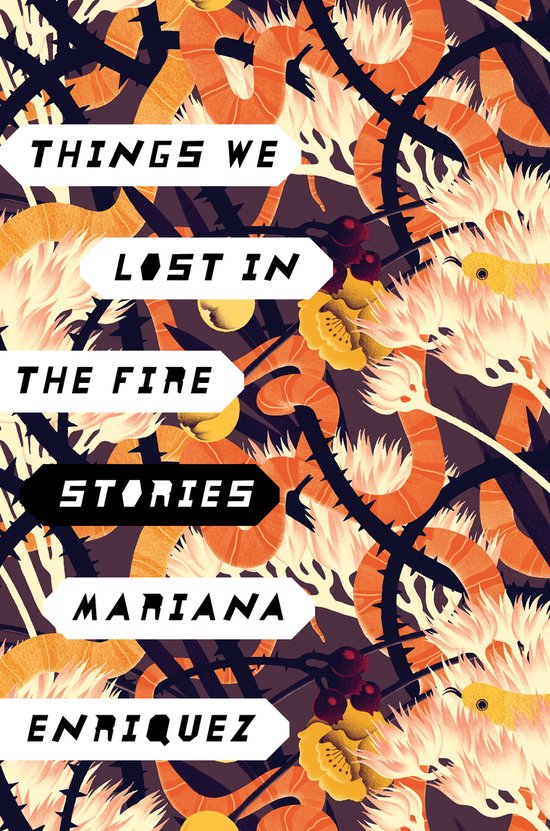 Boek "Things We Lost in the Fire" met een abstracte, kleurrijke achtergrond van oranje, wit en donkerblauwe organische vormen.