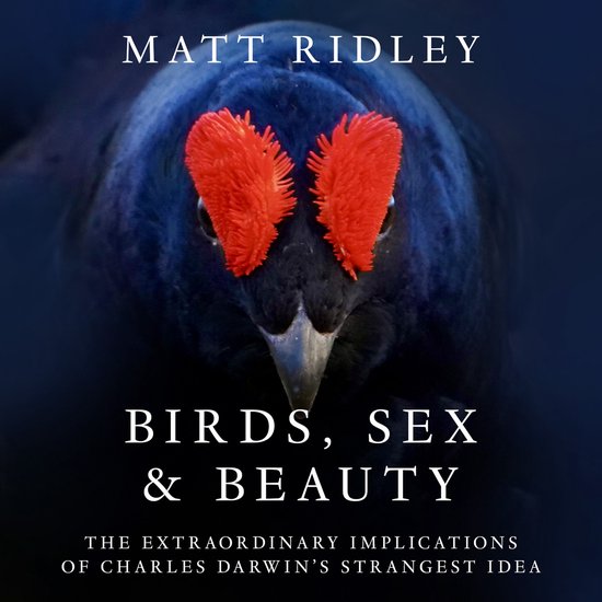 Birds, Sex and Beauty - cover