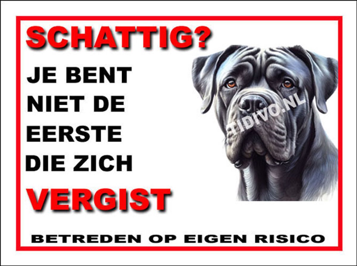 Cane Corso 14