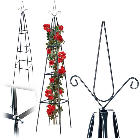 KADAX Metalen klimrek voor klimplanten, rek voor klimplanten, klimplantenrek (42 x 202 cm)