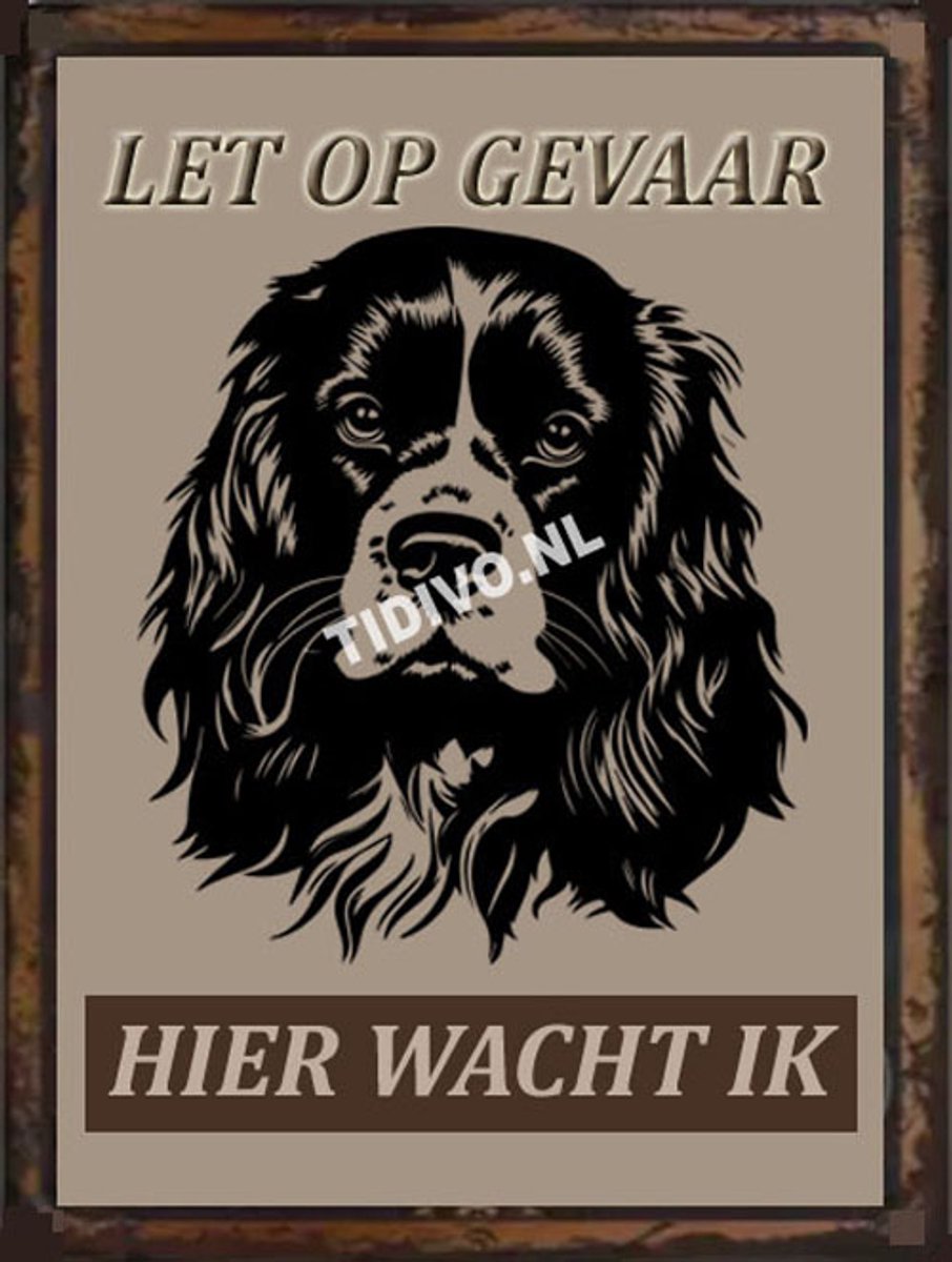 Cavalier King Charles Spaniël 18
