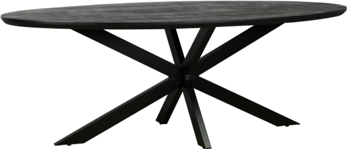 Eettafel Colorado ovaal mangohout 280x110 cm - verjongde rand - Zwart