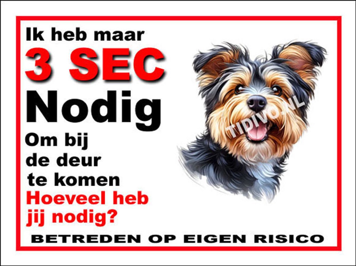 Australian Terrier 6
