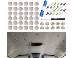 Set van 60 Dakreparatieschroeven - Autodakclips - universele dakmontageknoppen - Universele autodakklinknagels - met installatiegereedschap - Reparatiespijkers voor dakbedekking die van de dakbedekking valt - Autodakreparatieclips - Beigegrijs