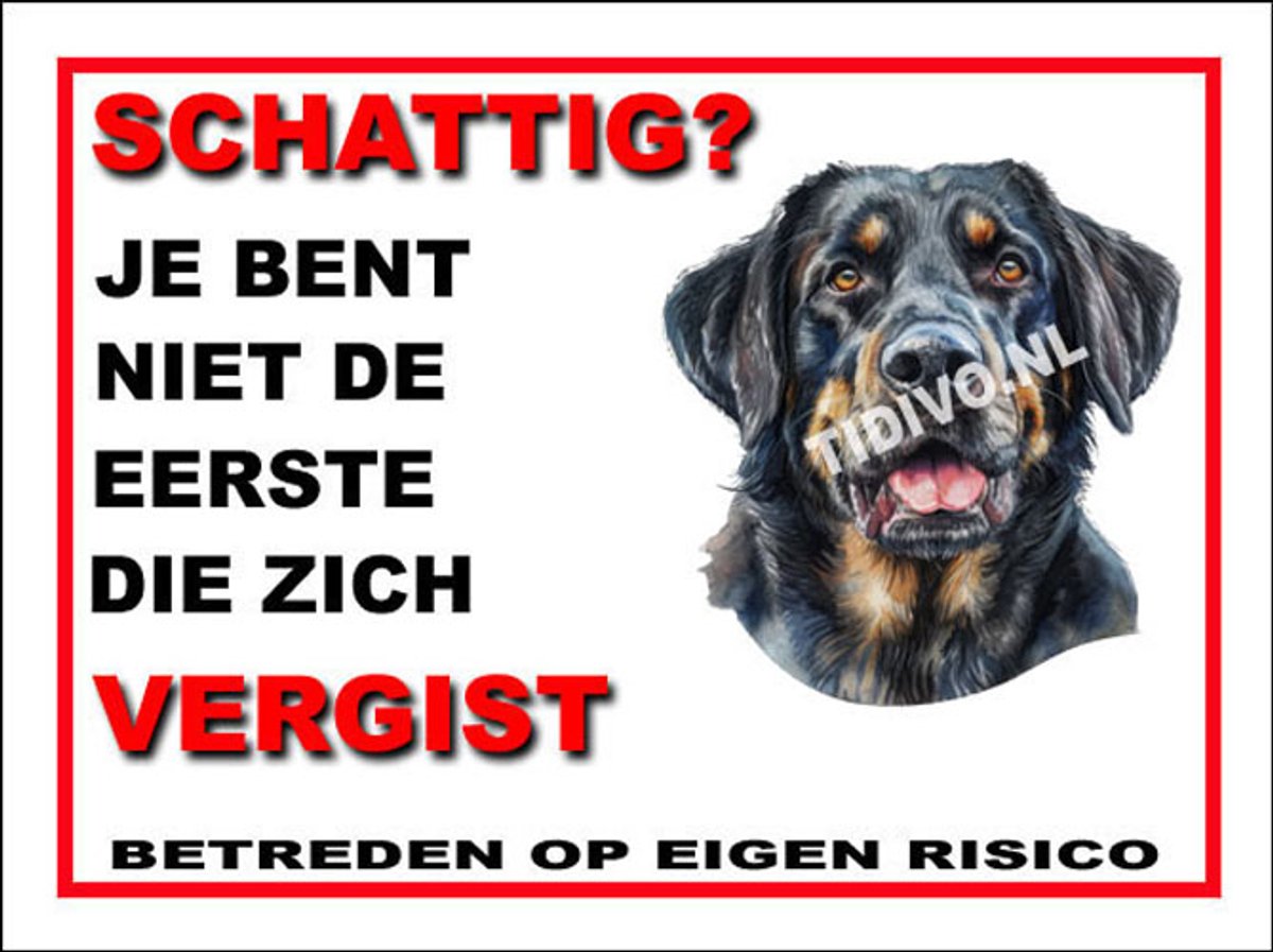 Münsterländer 14