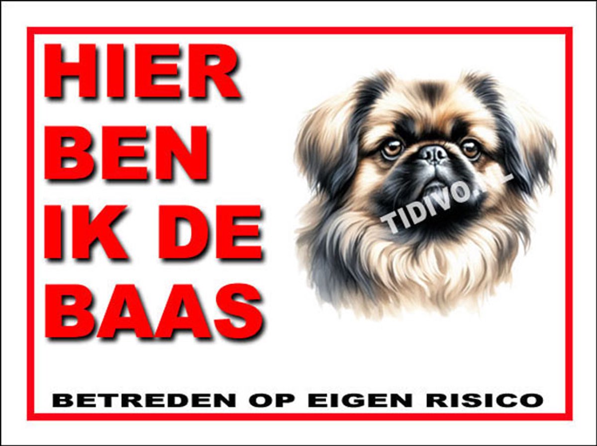 Pekingees 2