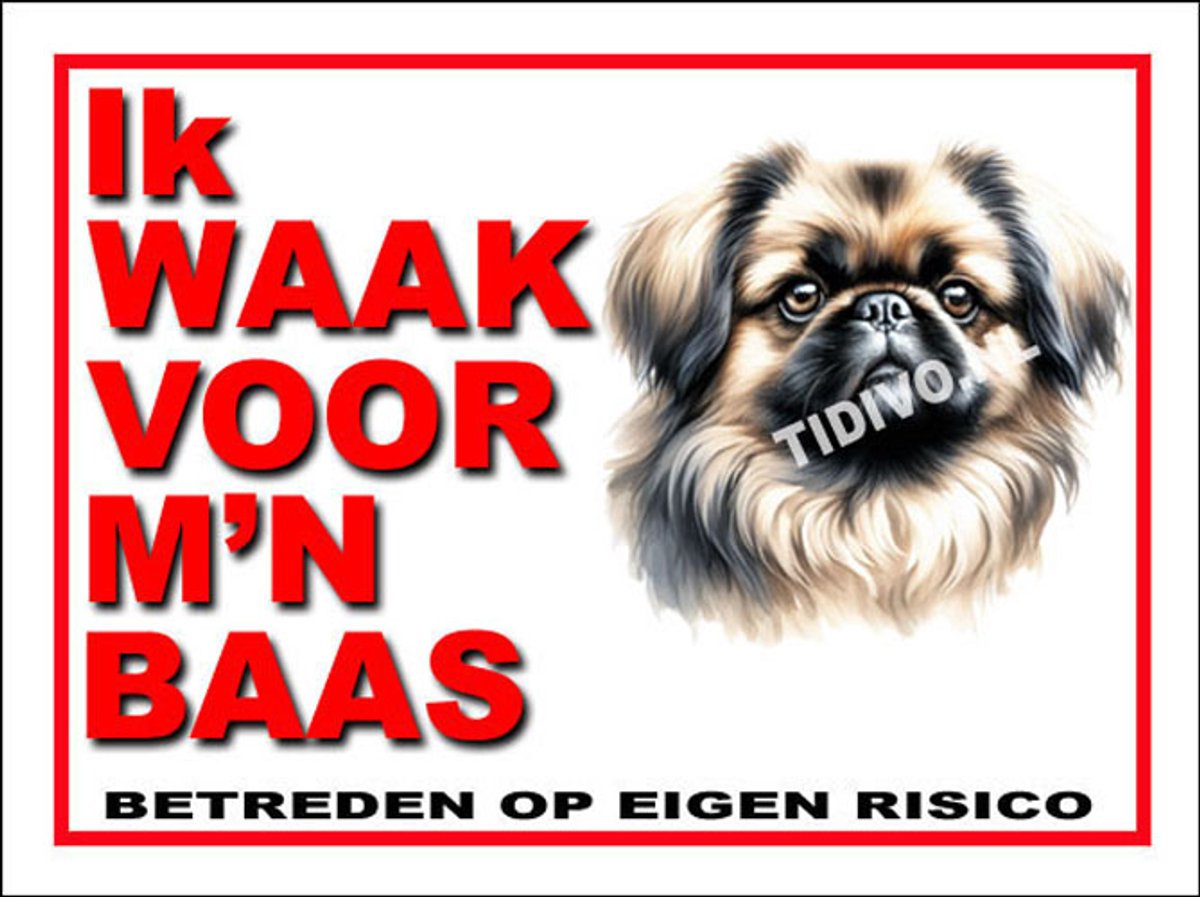Pekingees 9