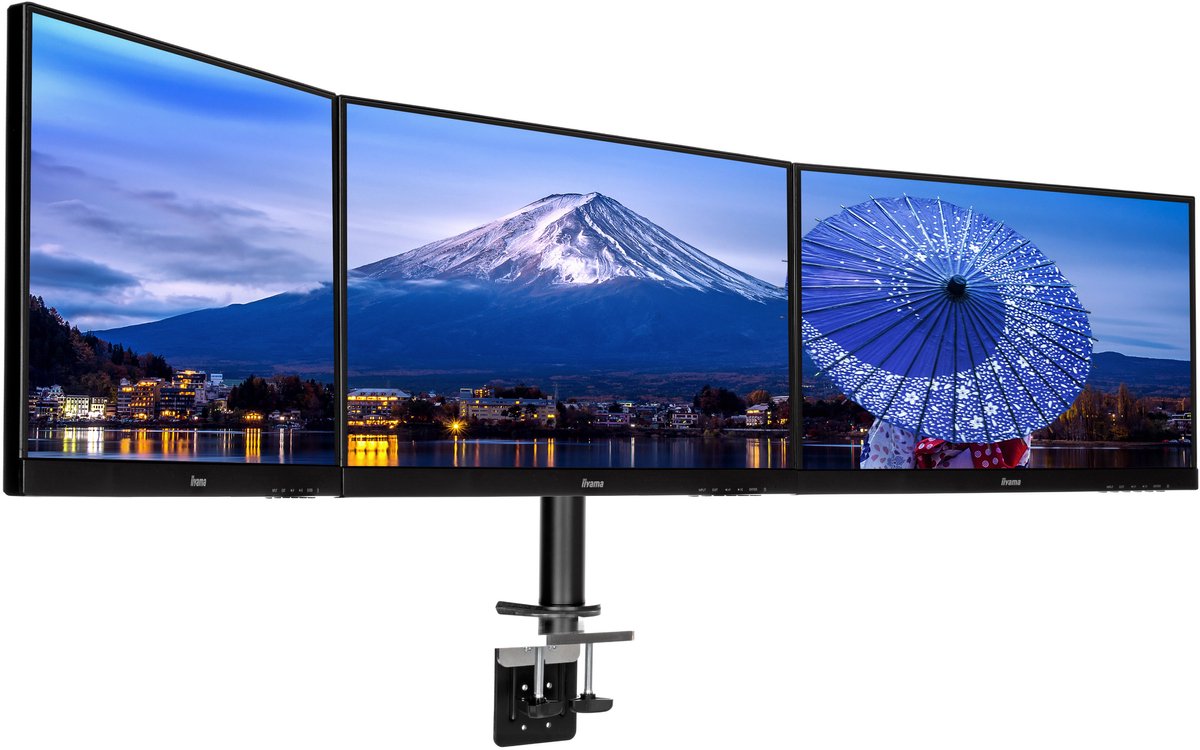 iiyama DS1003C-B1