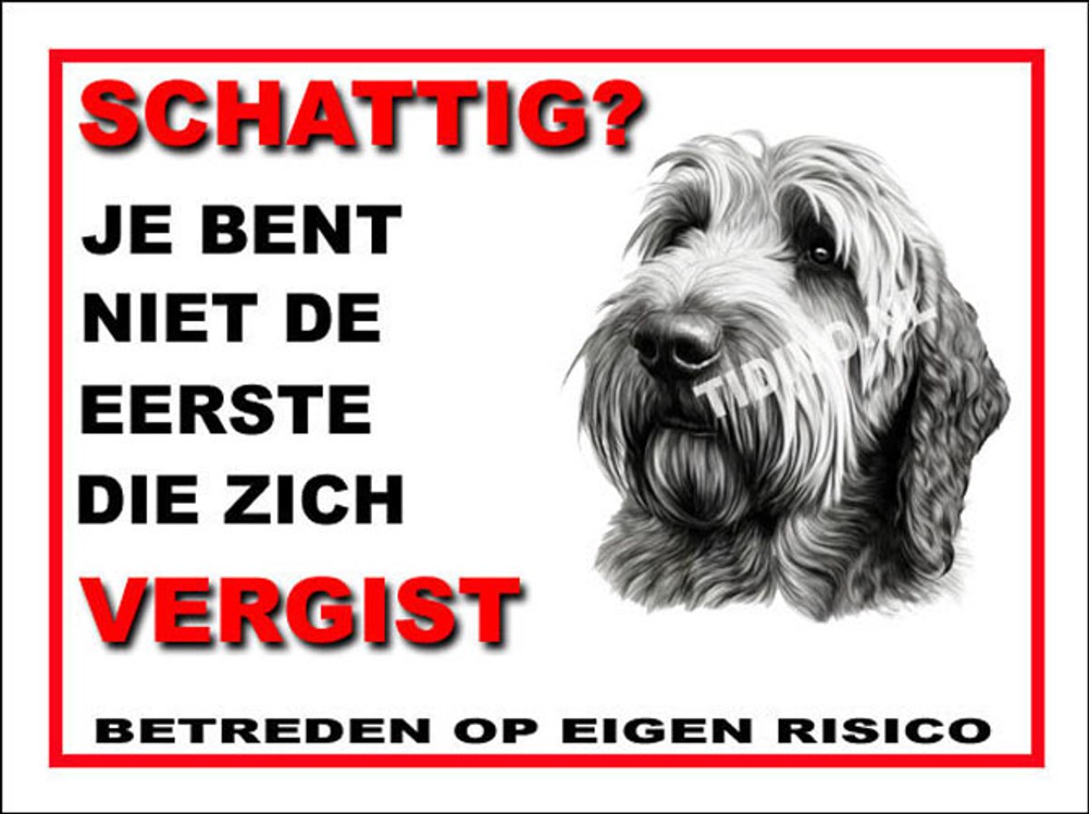 Otterhound 14