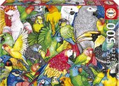 EDUCA - puzzel - 500 stuks - papegaai