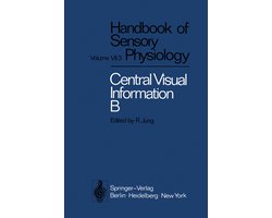 Visual Centers in the Brain
