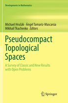 Developments in Mathematics- Pseudocompact Topological Spaces