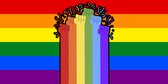 Regenboog LGBT Spandoek 250x500cm