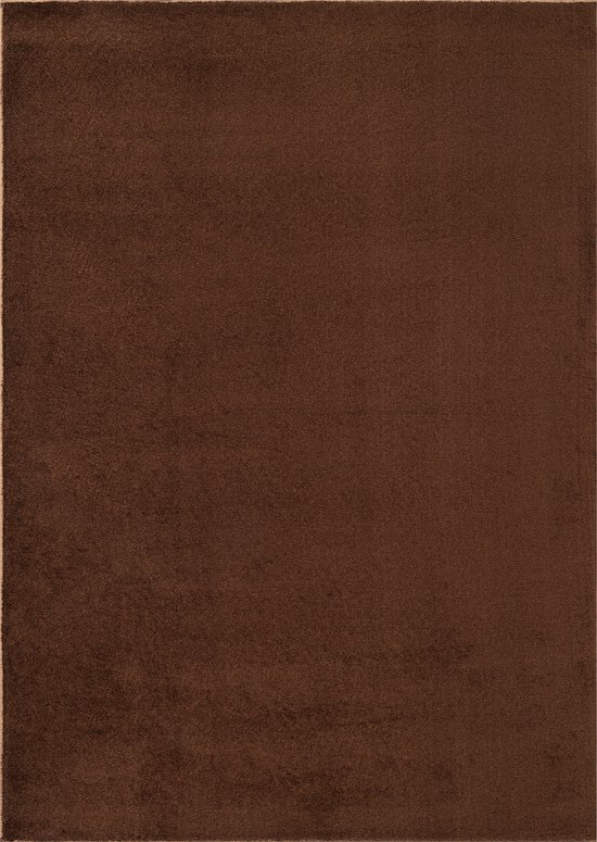 Tapiso Tapis câlin à poils longs marron antidérapant pour salon - 80 x 150 cm
