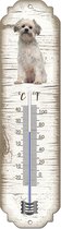 Thermometer: Leeuwhondje | Hondenras | Temperatuur binnen en buiten | -25 tot +45C