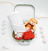 Baby Geschenk Set - 5-delig Kraamcadeau - Unisex - Hawsaz.nl kraamcadeaus - Babygeschenkset - Babydeken - Baby koffertje - Gepersonaliseerde cadeaus - Slabbetje - Baby knuffel - Genderneutraal cadeau - Speenkoord