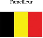 Fameilleur- Belgische vlag- EK 2024- vlag België- Belgium- zwaai vlag- gevel vlag- feestartikelen- Europees kampioenschap- gevelvlag- zwaaivlag- stadion- feest- Europees kampioenschap