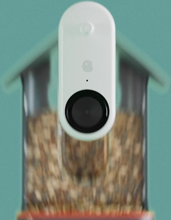 The Bird Buddy Smart Bird Feeder is steeply discounted for Amazon Prime Day