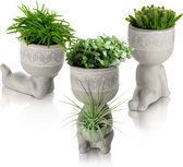 Comforder Set de 3 Pots de fleurs avec Face - Ø6 h. 12,5 cm - Pots de fleurs pour l'intérieur et l'extérieur