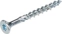 Verzinkte Woodies Ultimate schroef met Torx aandrijving, close-up.