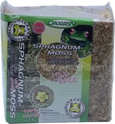 Dragon Sphagnum Moss, Mini-bale, 150 grammes - Mousse de terrarium séchée - Terrariums Bio-actifs